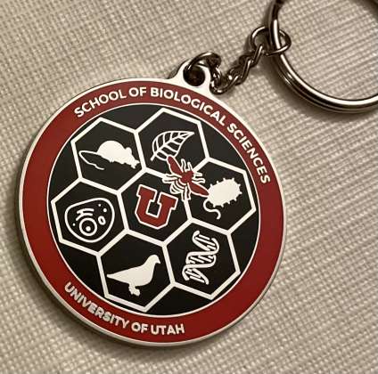 School of Biological Sciences Metal Key Chain: click to enlarge