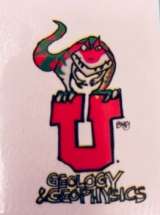 Stomp Temporary Tattoo Qty 5