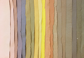 Colors from Nature: Paper Dyeing: click to enlarge