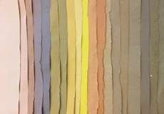 Colors from Nature: Paper Dyeing