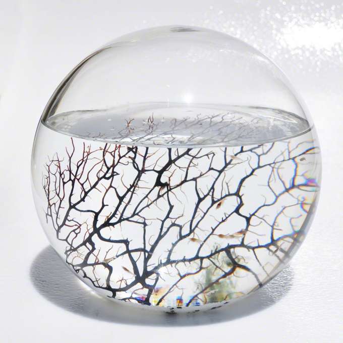 Extra Large EcoSphere  Your Dept/Store Name Here