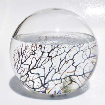 Extra Large EcoSphere: click to enlarge