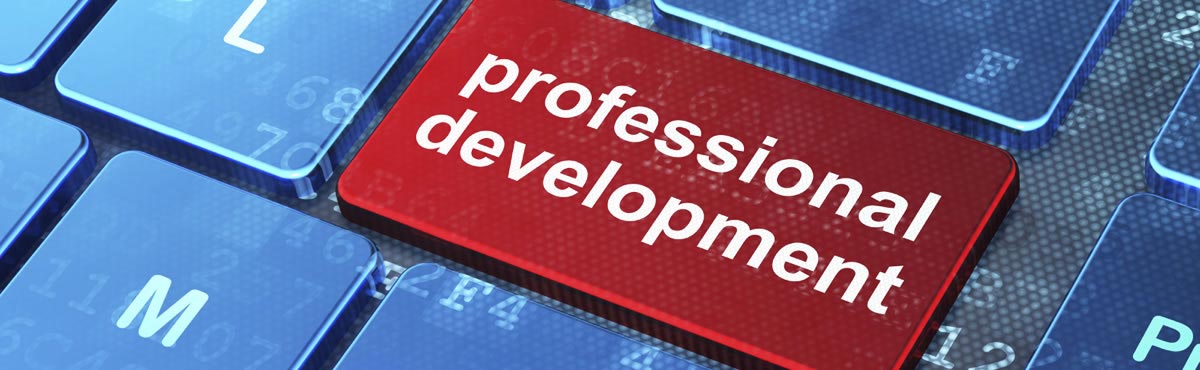 Professional Development Logo